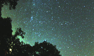 ¿Te perdiste las lluvias de meteoritos?¡Míralas!