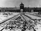 Never again? Atrocities 70 years after Auschwitz