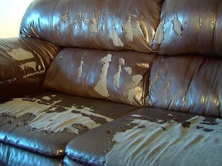 Don't waste your money on a 'leather' couch
