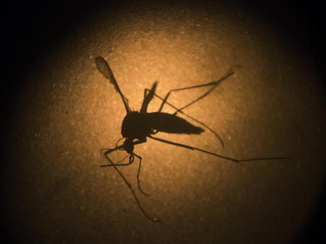 Republicans in House, Senate agree on Zika spending bill