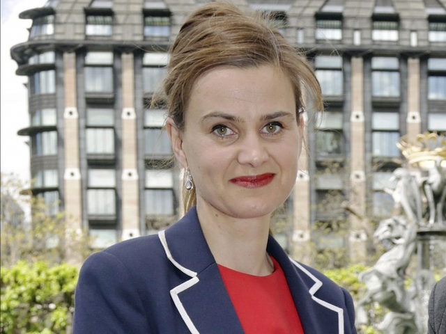 British politician killed in vicious attack