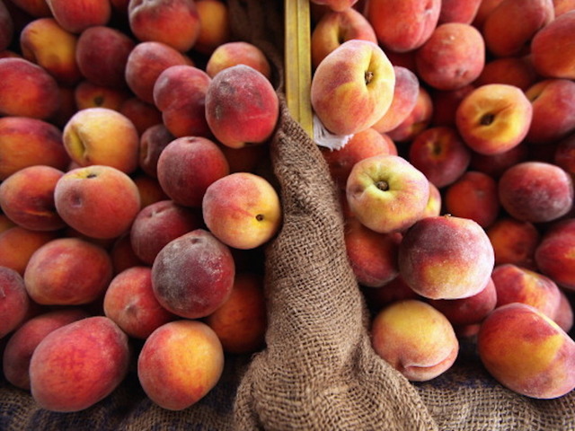 Fungus killing Western Slope peach trees, causing millions in losses