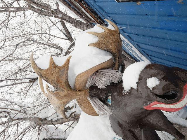 Northeast braces for snowstorm as airlines cancel flights, cities shut schools