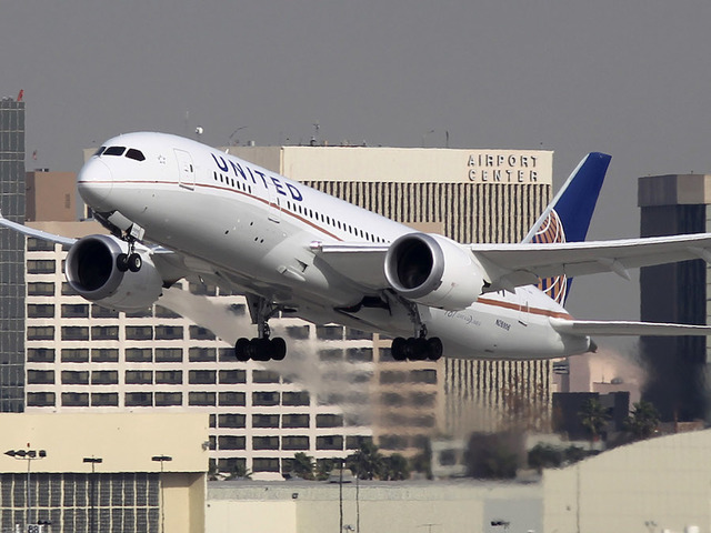 Family, United Airlines settle over dog's death