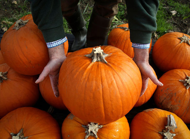 Who has the biggest pumpkin in the state? Drive to Old Colorado City on Saturday and find out