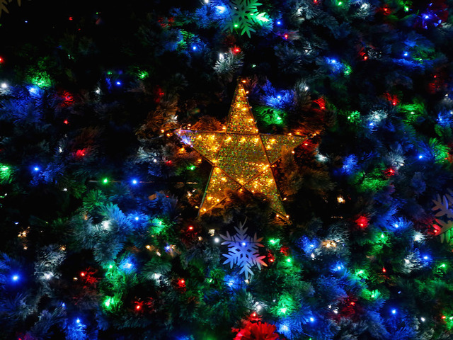 Freeform's pre-'Christmas' movie schedule