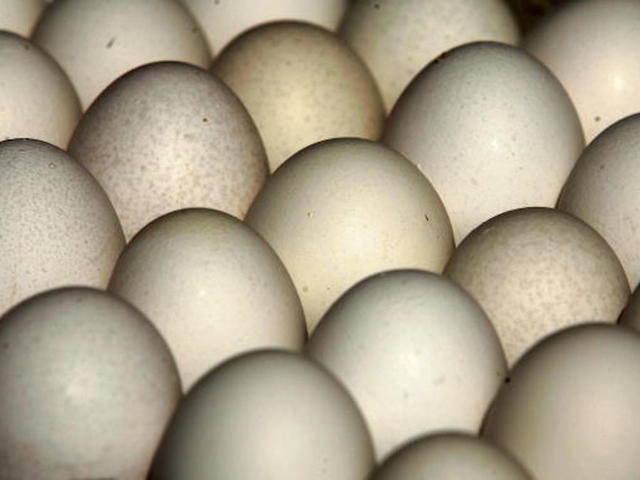 Millions of eggs in nine states recalled over salmonella fears