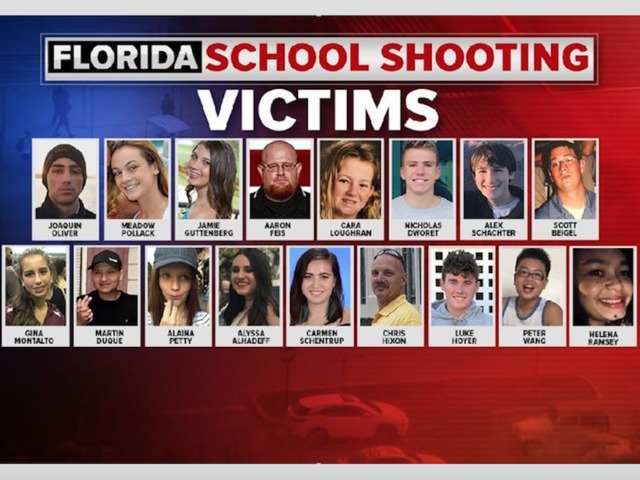 We must work for sensible gun control -- Joyce Anderson