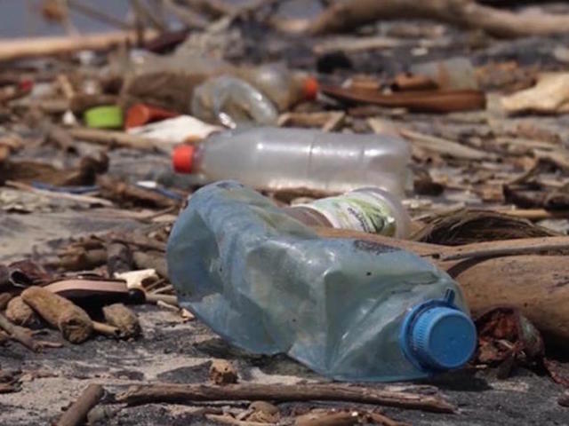 Sharp drop in littering along UK seas after charge for plastic bags, report shows