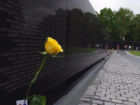 Unexpected issue at Vietnam Memorial Wall