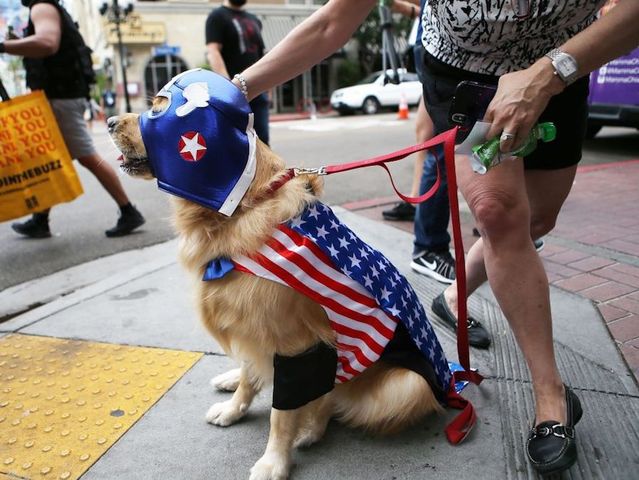 Dogs rush to help when owners cry, study suggests