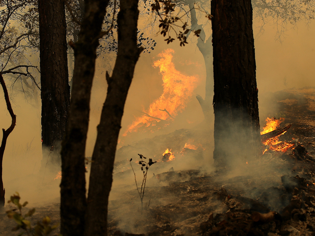 Deadly California wildfire kills missing children and great-grandmother, family says