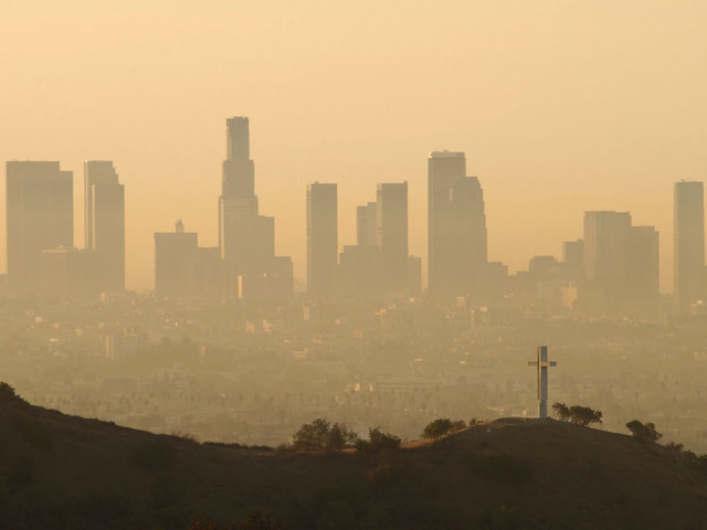 Air pollution is making us dumber, study shows