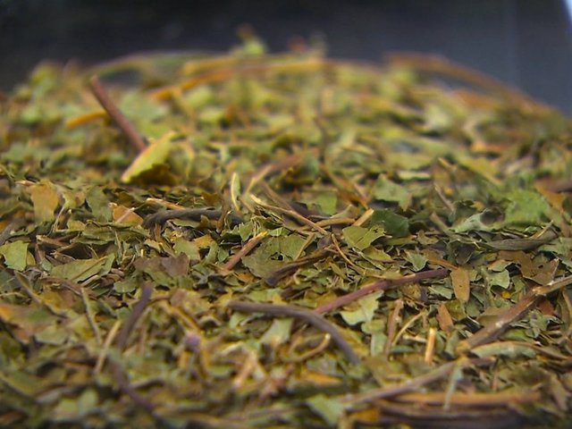 Kratom